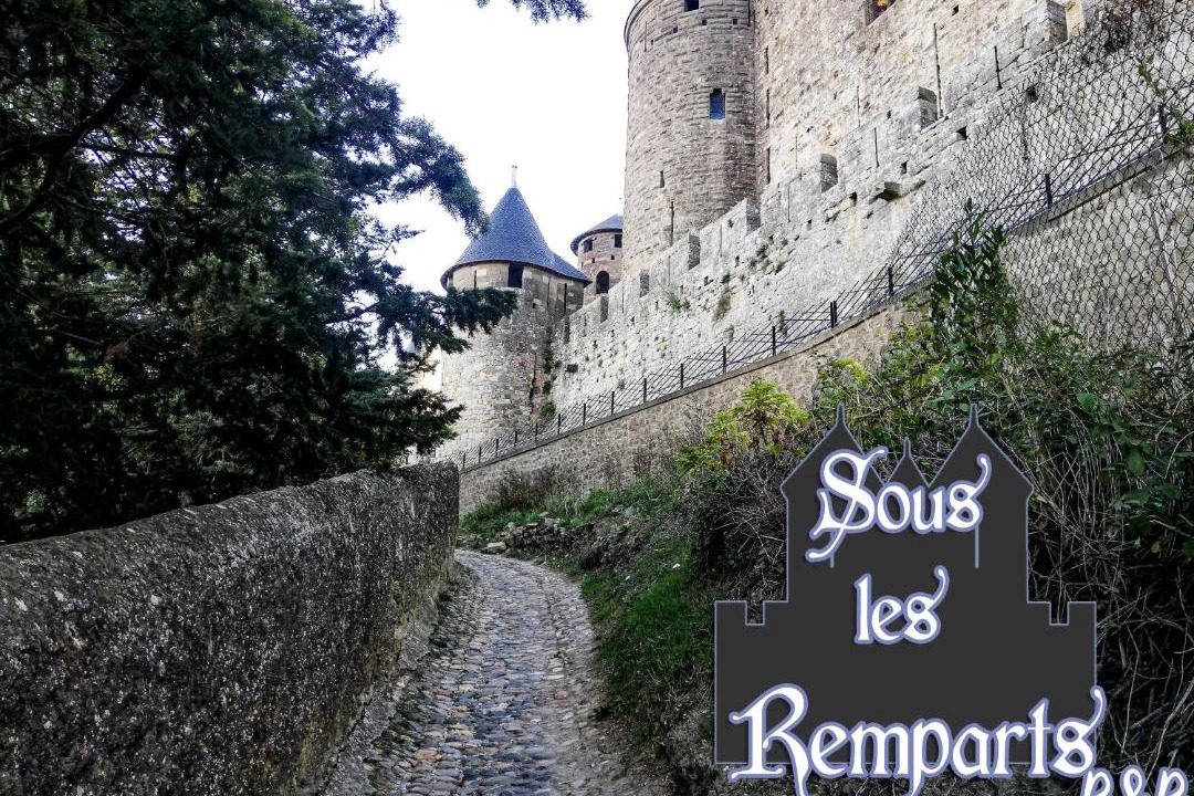 Photo of Others in Carcassonne