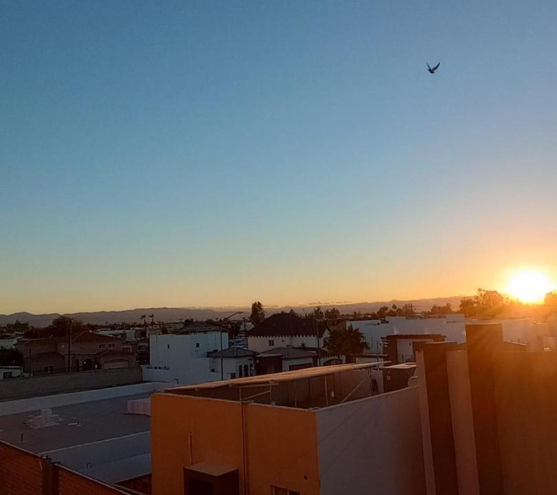 Photo of Others in La Joya