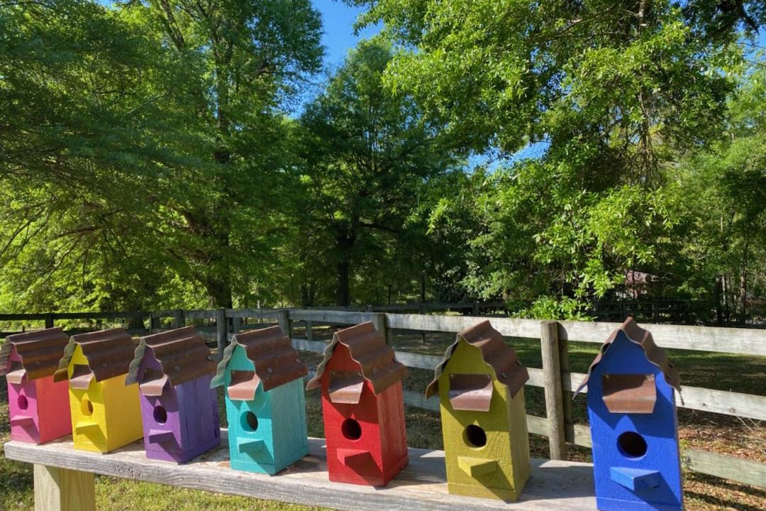 Photo of Others in Aiken