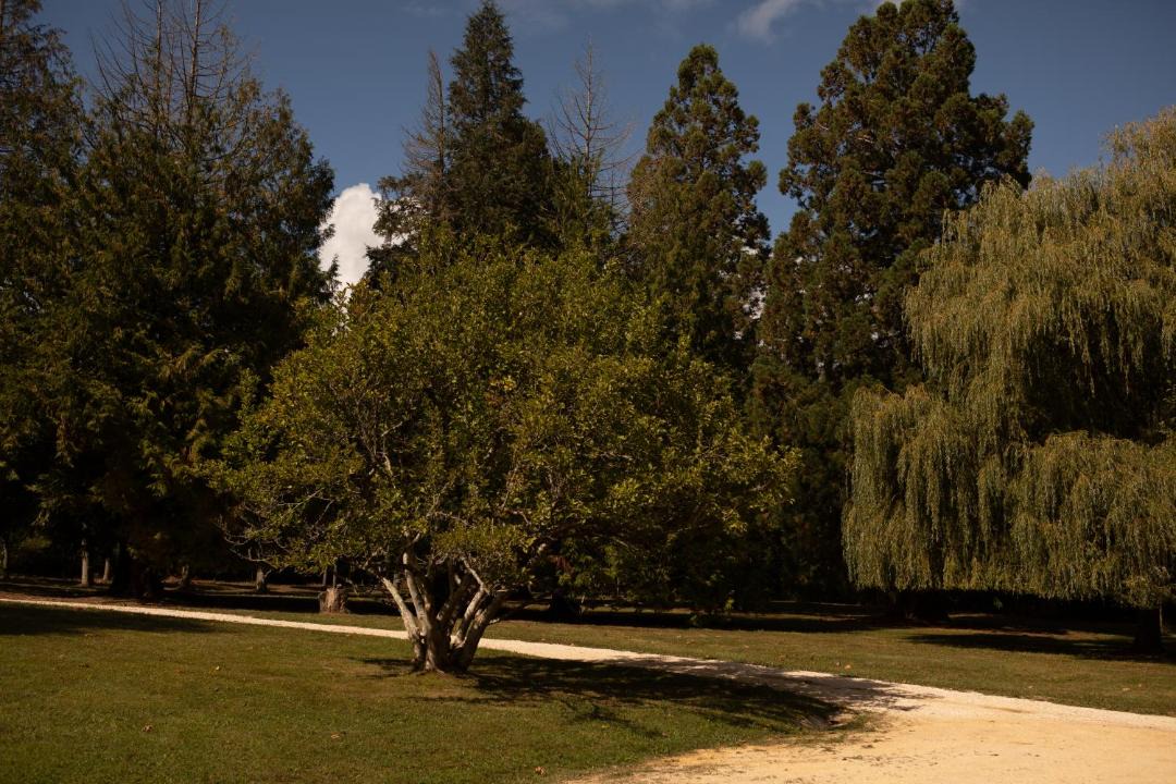 Photo of Others in Saints-en-Puisaye