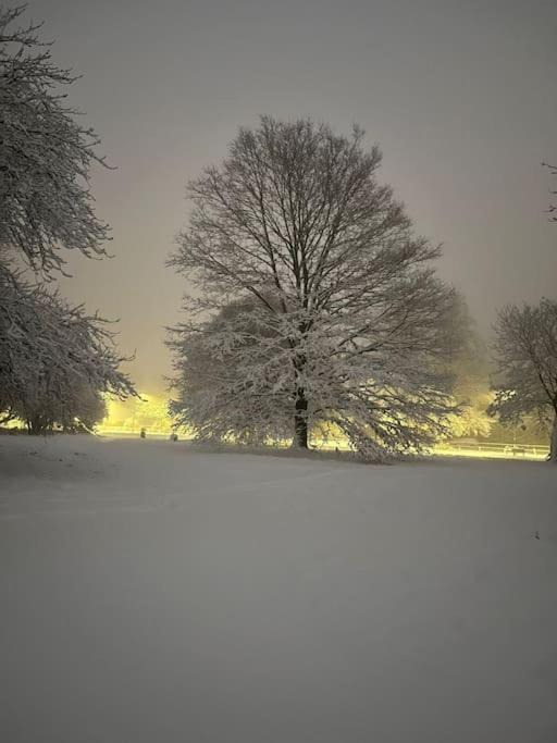 Photo of Others in Northaw