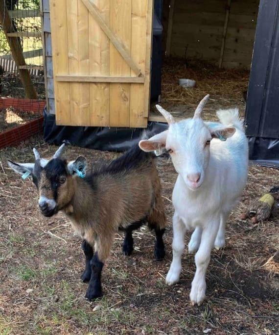 Photo of Others in Northaw