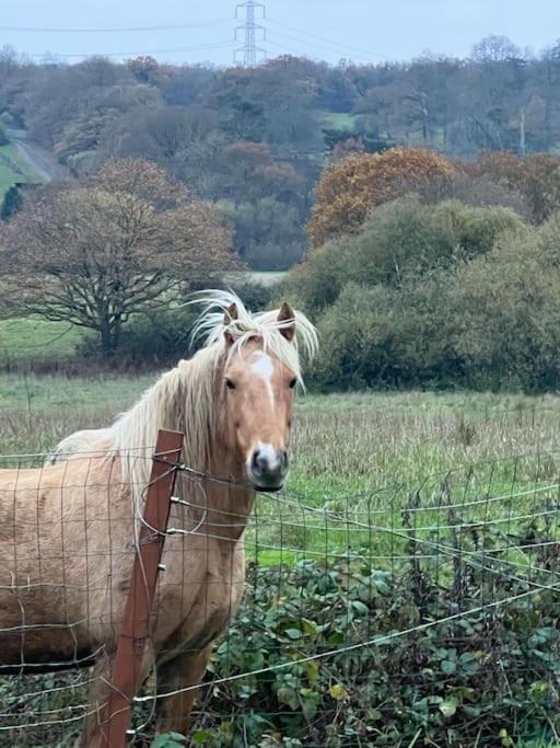 Photo of Others in Northaw