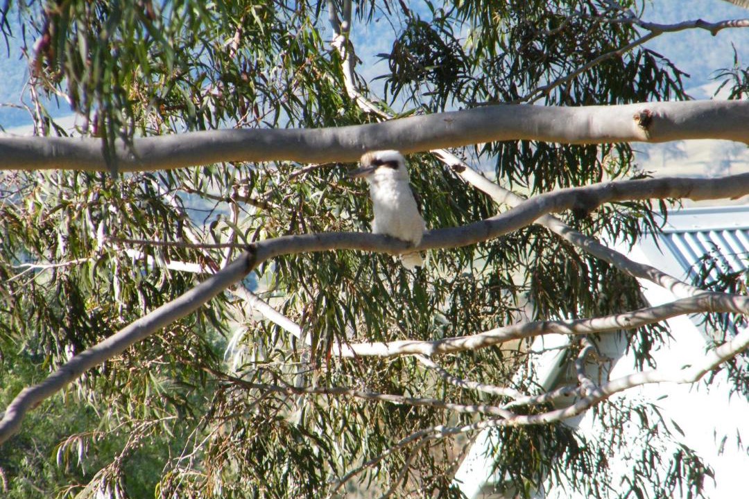 Photo of Others in Stanhope