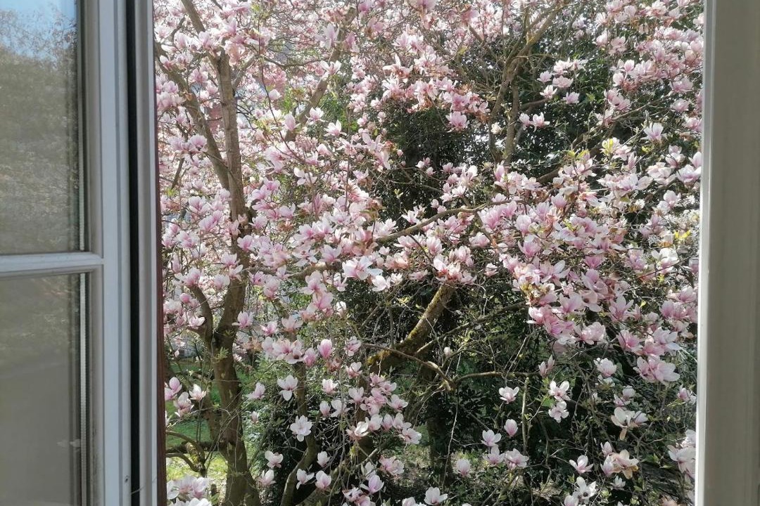 Photo of Others in Wissembourg