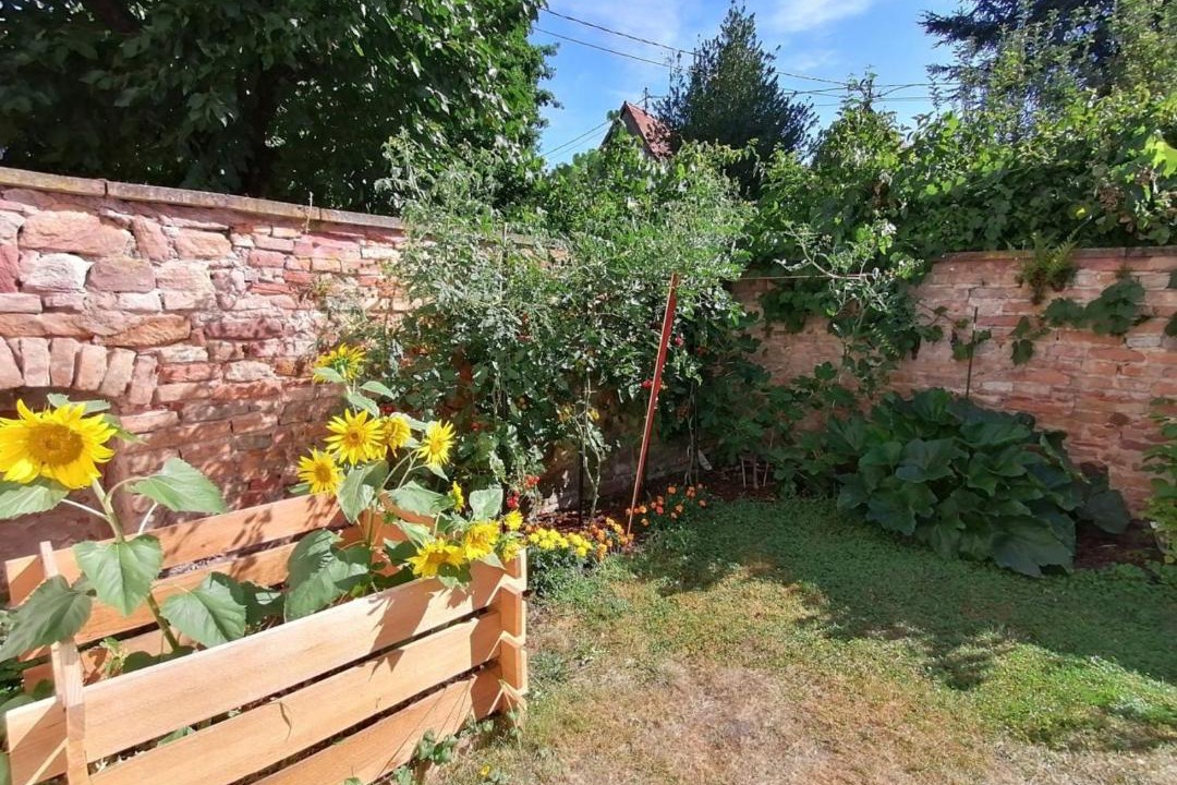 Photo of Others in Wissembourg