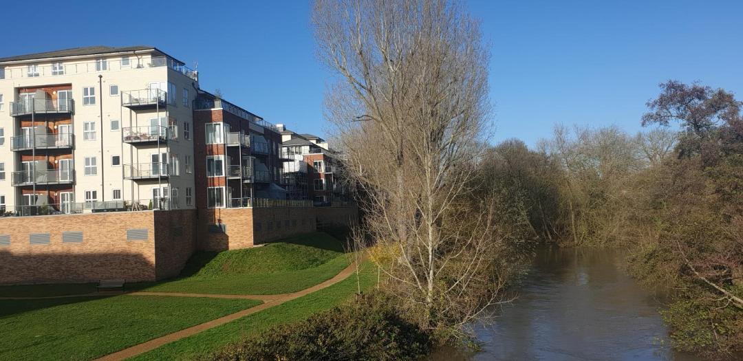 Photo of Others in Leamington Spa