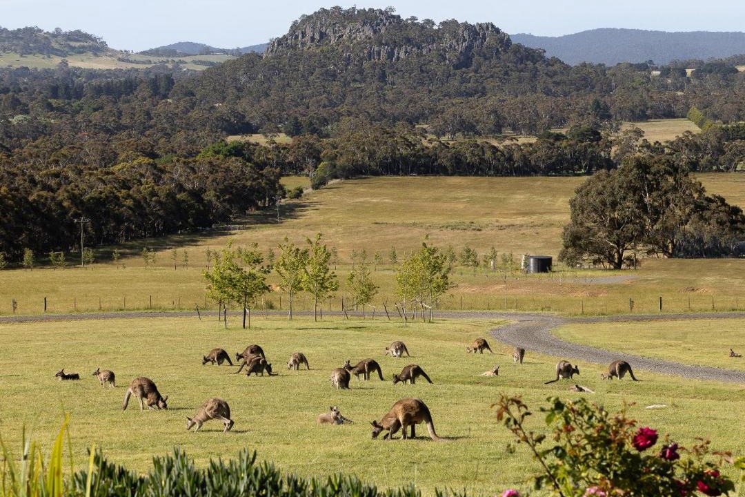 Photo of Others in Woodend