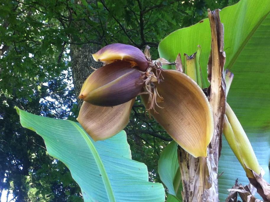 Photo of Others in Cirey-sur-Vezouze