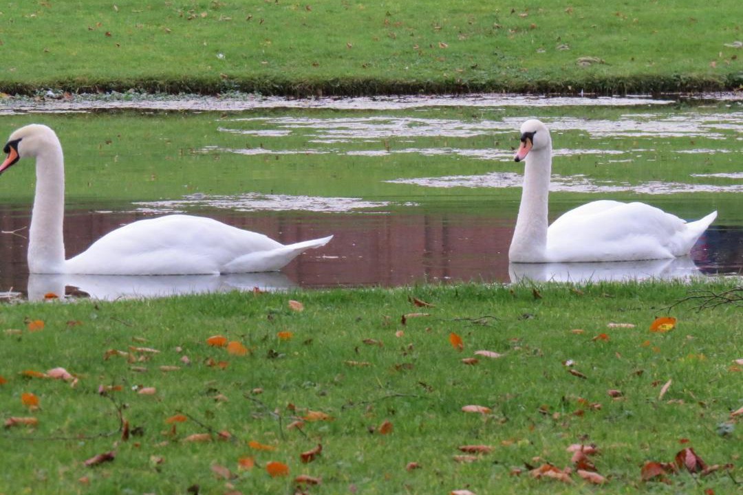 Photo of Others in North Stainley