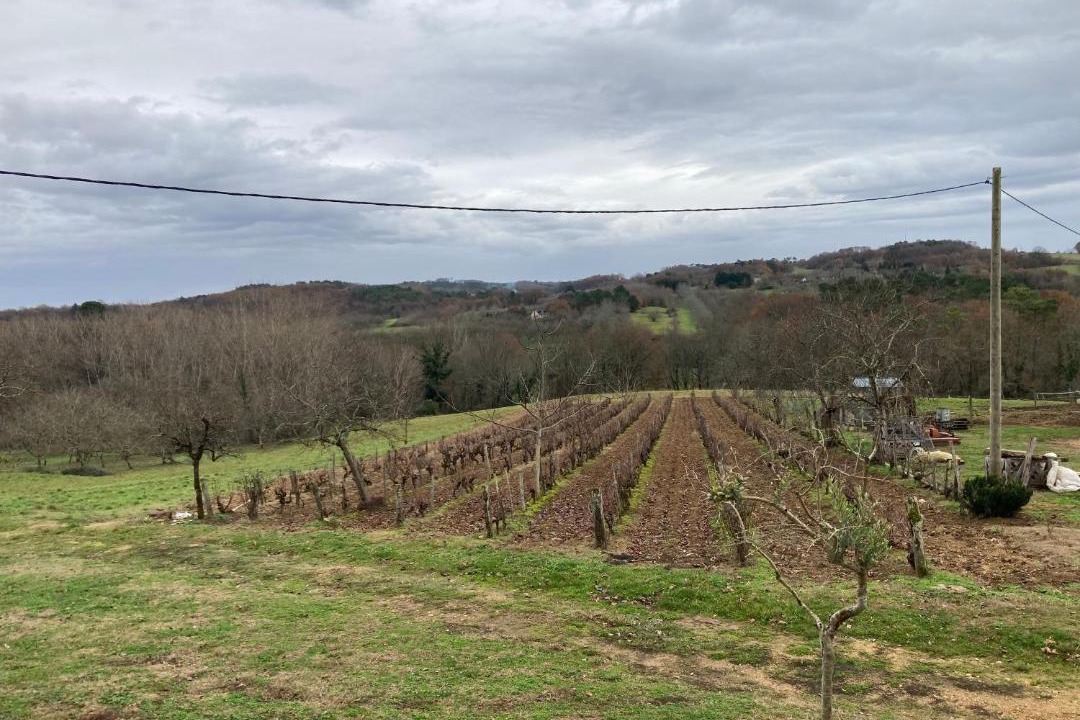 Photo of Others in Castelnaud-la-Chapelle