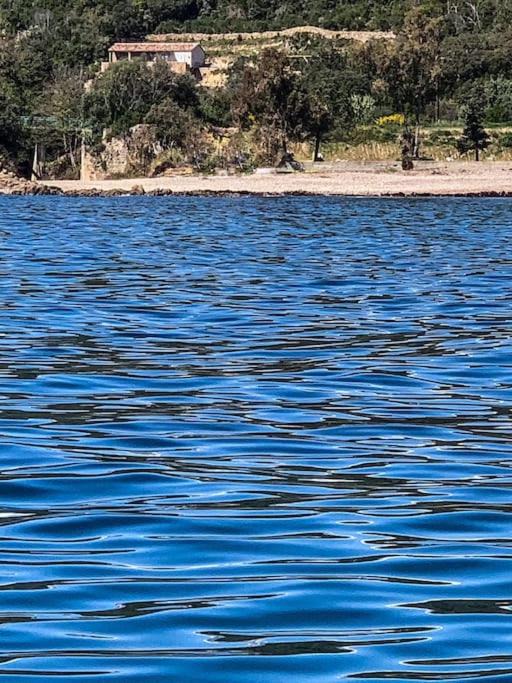 Photo of Others in Sari-Solenzara