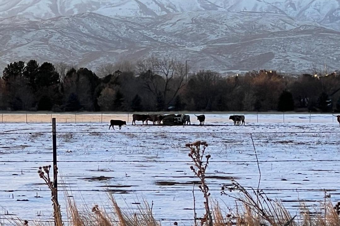 Photo of Outdoor in Highland