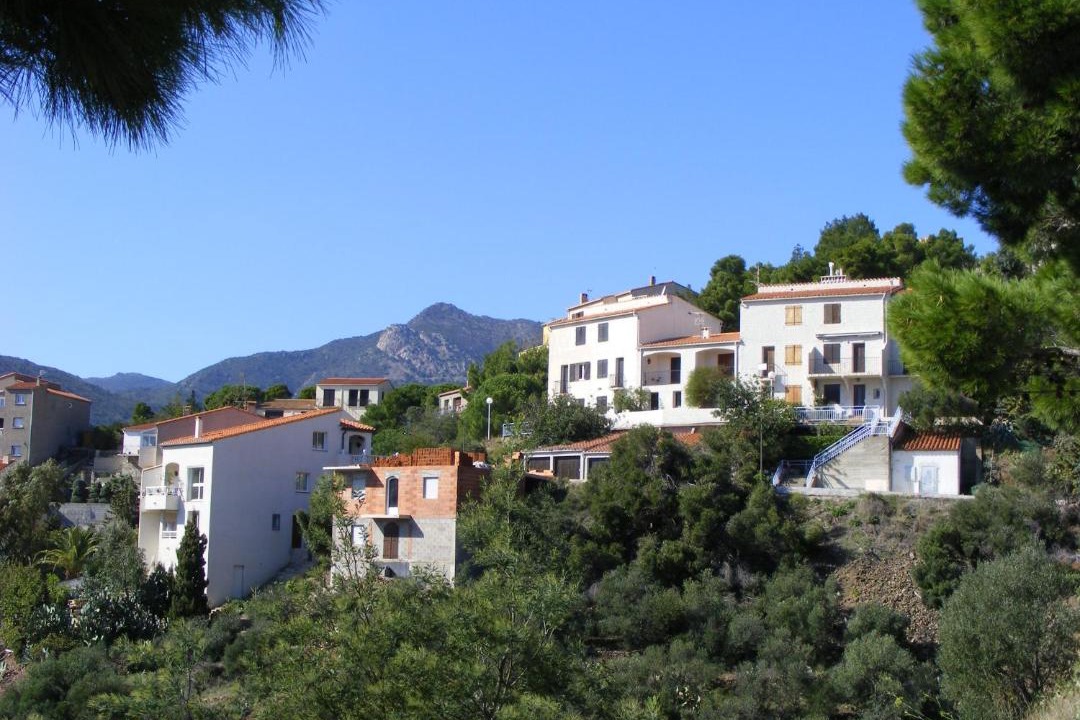 Photo of Buildings in Cerbere