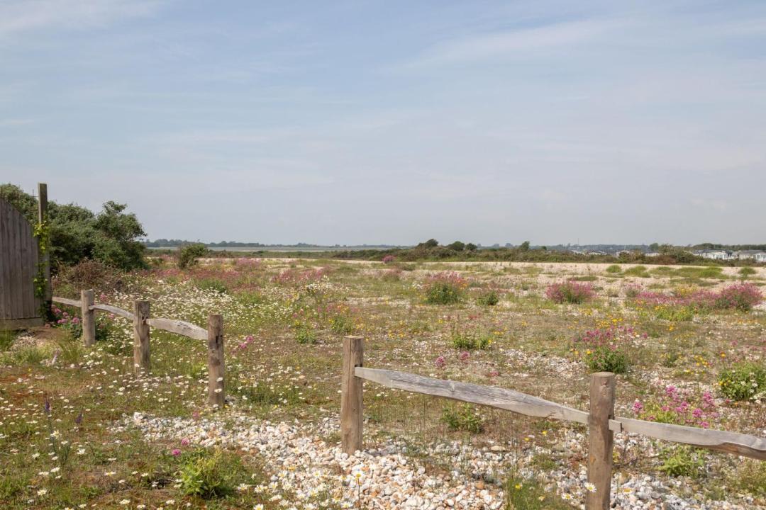 Photo of Outdoor in Pagham