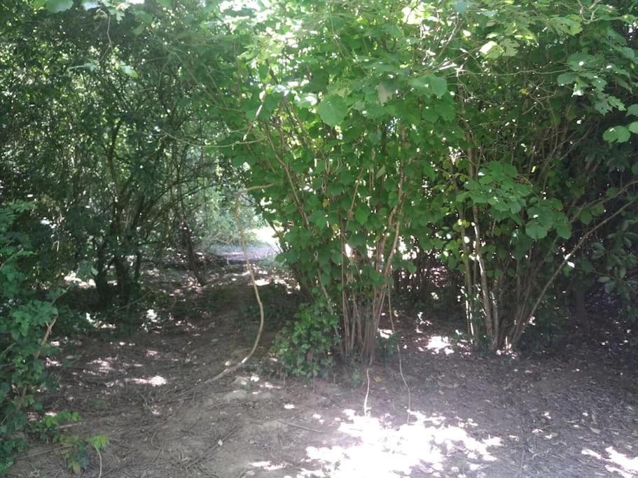 Photo of Outdoor in Grand'Landes