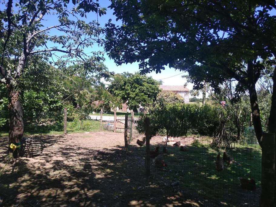 Photo of Others in Grand'Landes