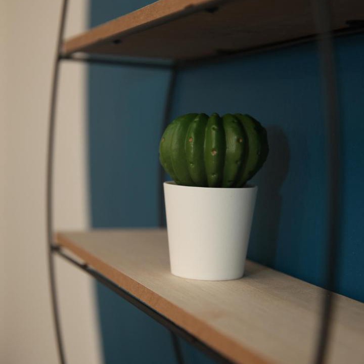 Photo of Others in Runnymede