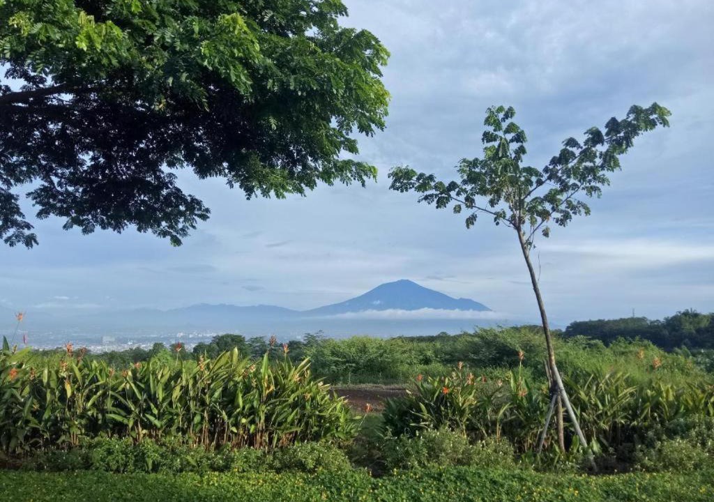 Photo of Outdoor in Malang