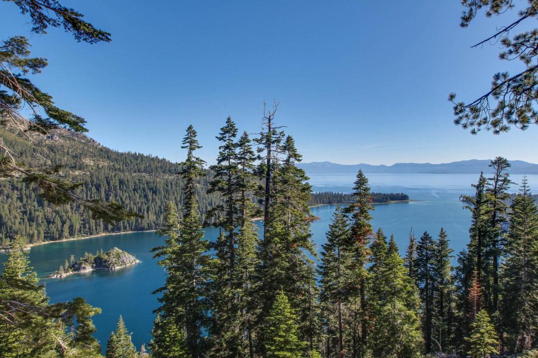 Photo of Others in Tahoe Village