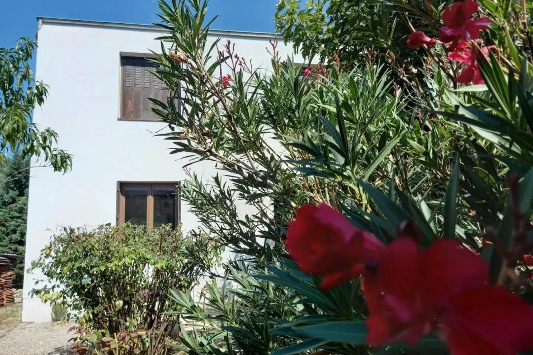 Photo of Others in Crest