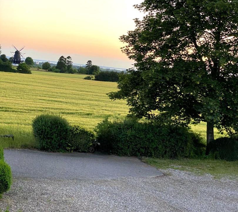 Photo of Outdoor in Assens