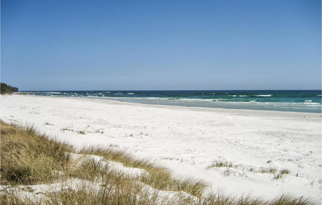 Photo of Others in Bedegaard