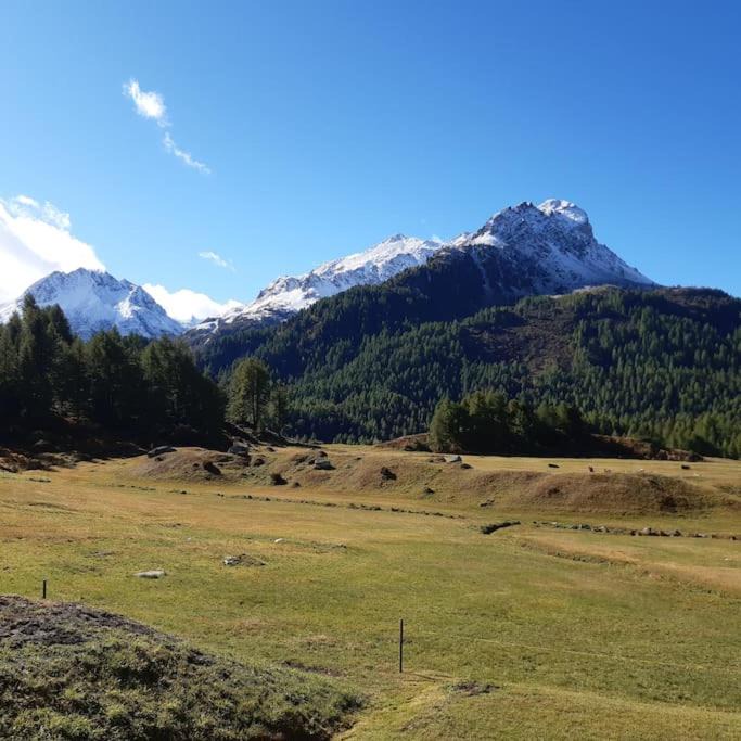 Photo of Outdoor in Maloja