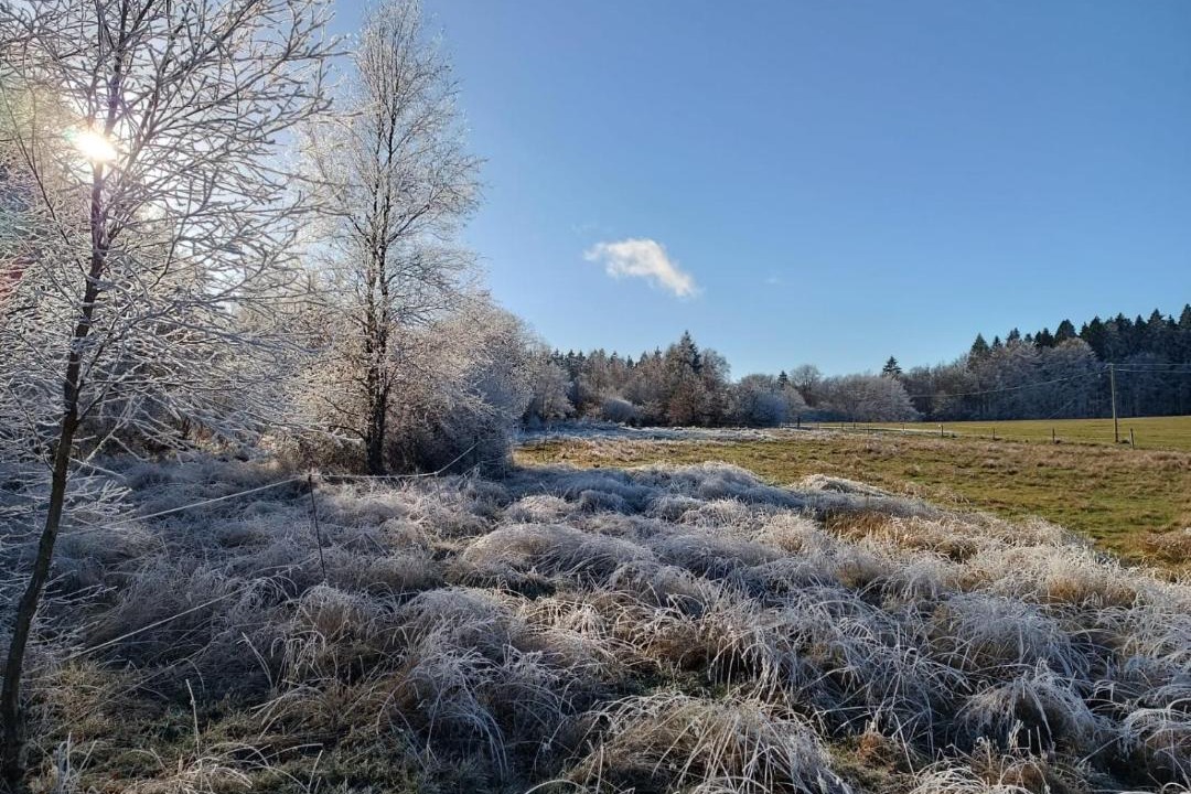 Photo of Others in Revin