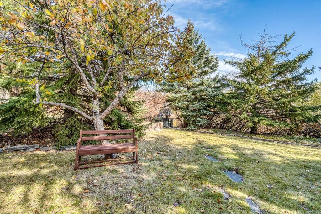 Photo of Outdoor in Northwest Calgary