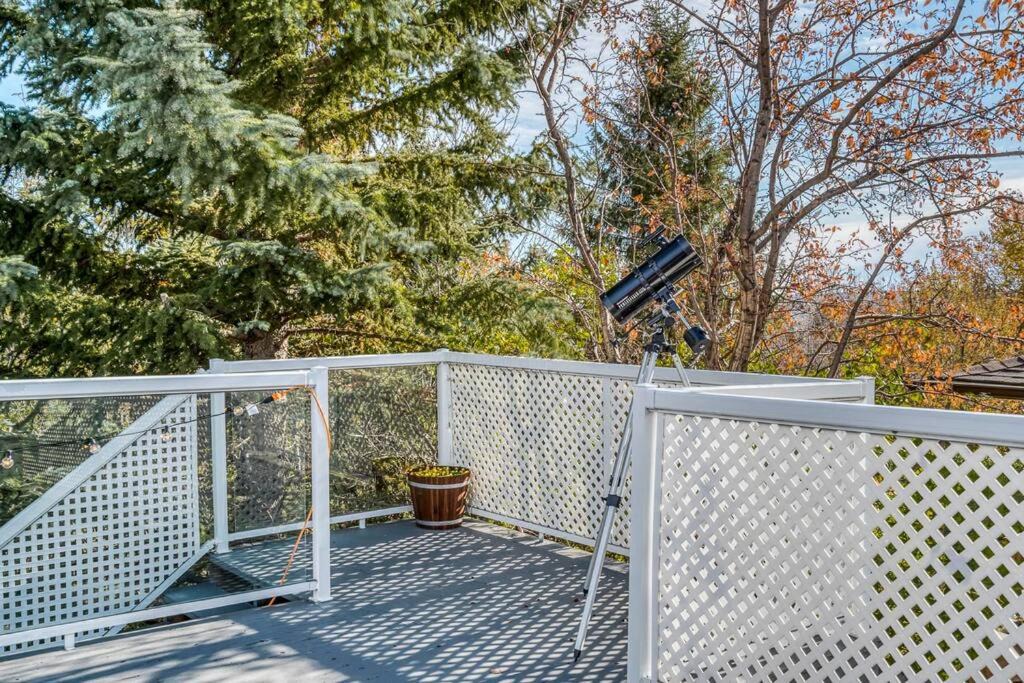 Photo of Others in Northwest Calgary