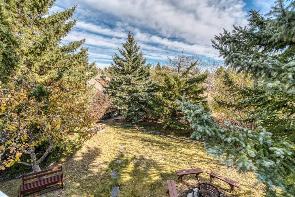 Photo of Outdoor in Northwest Calgary