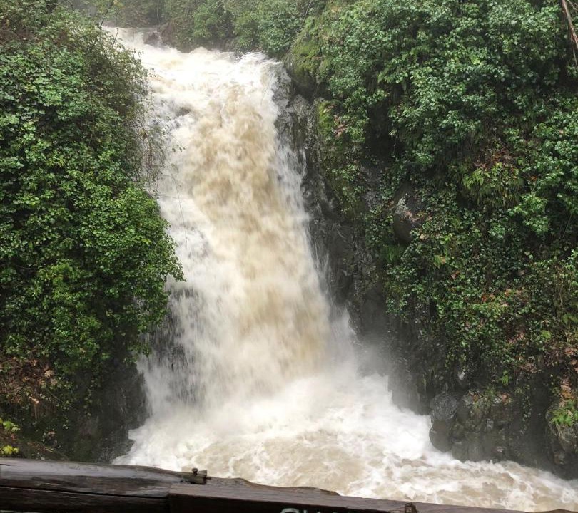 Photo of Others in El Arenal