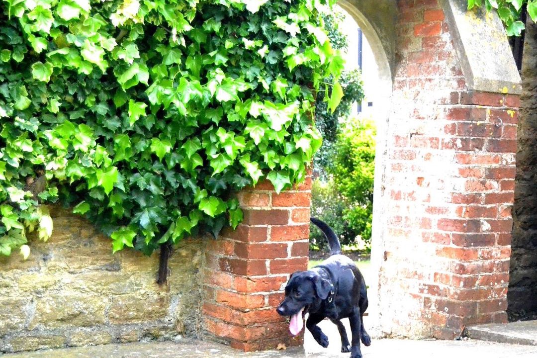 Photo of Others in Beanacre