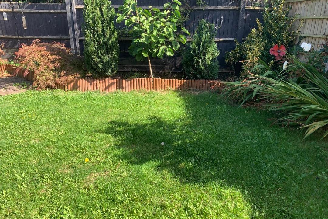 Photo of Others in Burnham-on-Sea