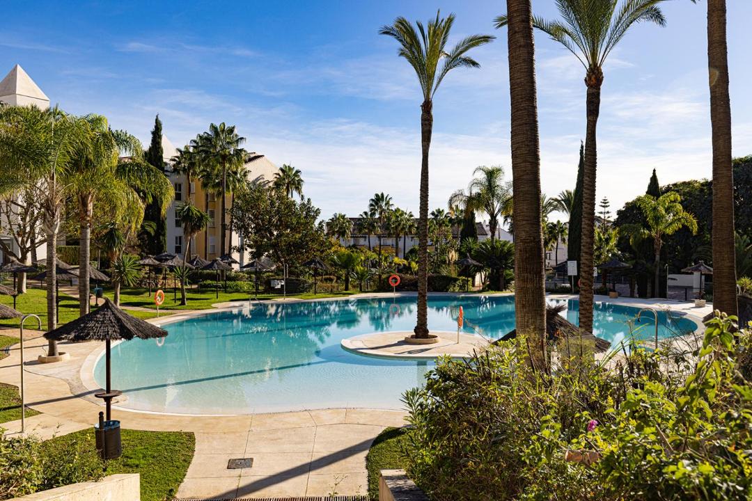 Photo of Others in Marbella