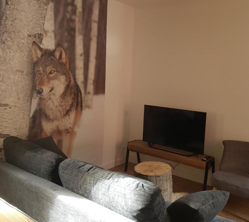 Photo of Livingroom in Porte-Puymorens