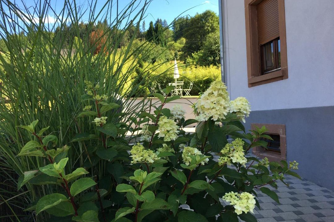Photo of Others in Barembach