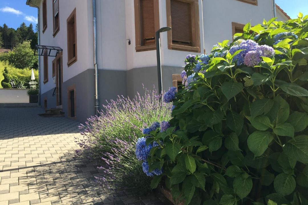 Photo of Others in Barembach