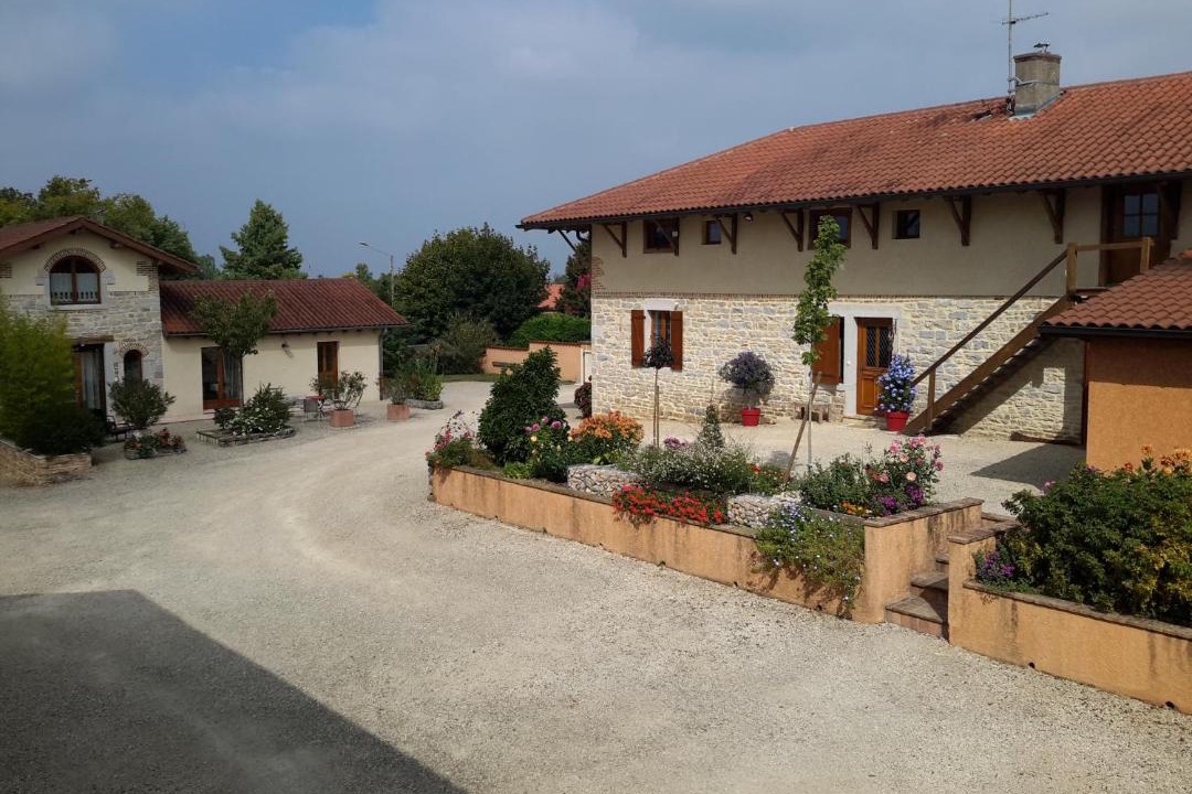 Photo of Others in Saint-Remy