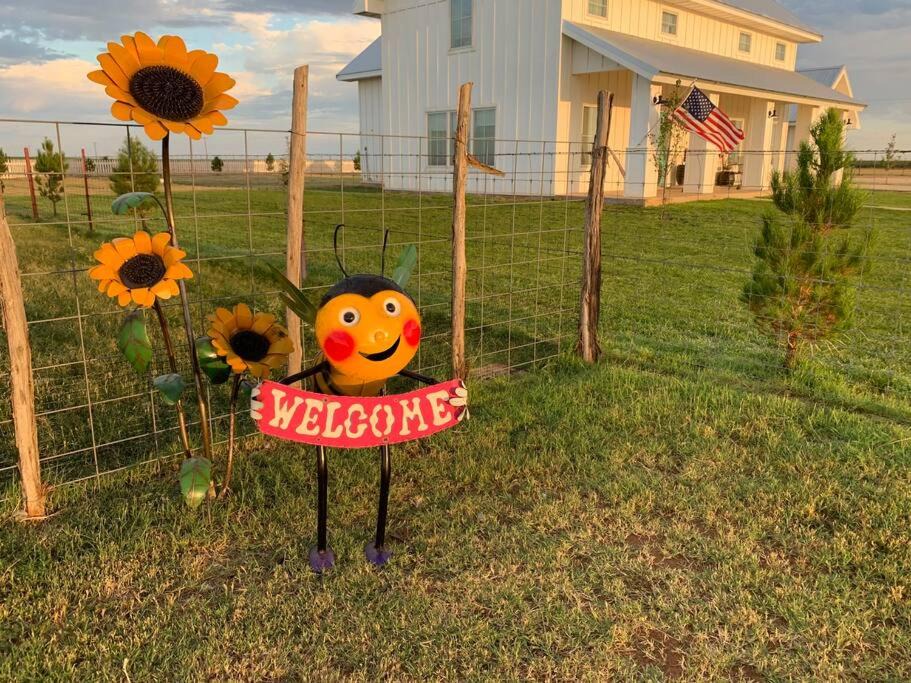 Photo of Others in Levelland