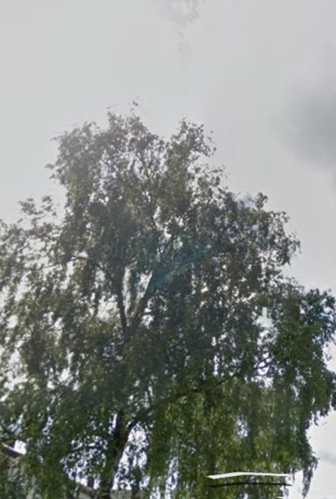 Photo of Others in Tadworth