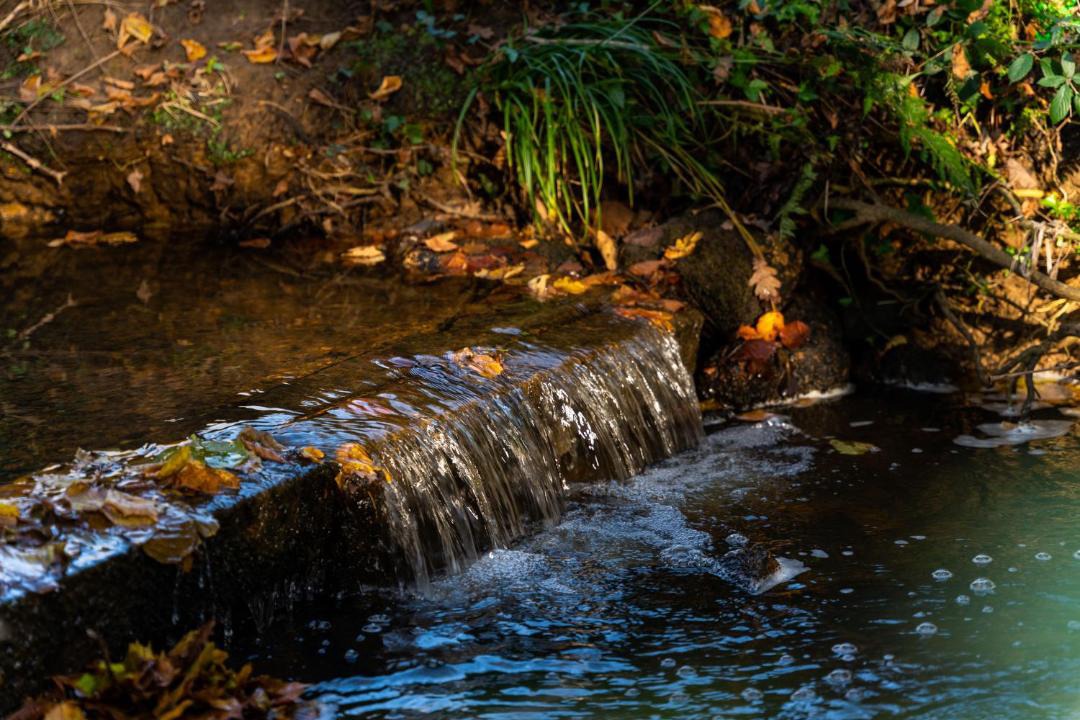 Photo of Others in Horton