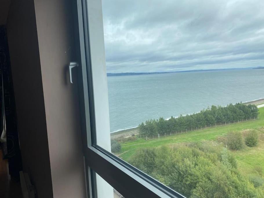 Photo of Others in Newhaven