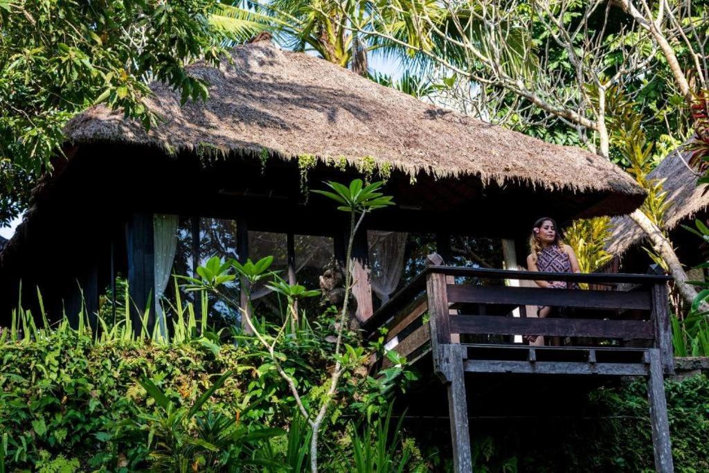 Photo of Others in Ubud City-Centre