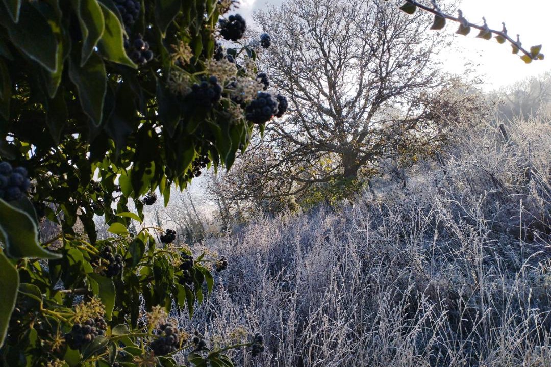 Photo of Outdoor in Sarceaux