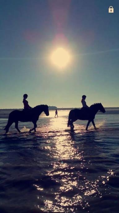 Photo of Human In Picture in Sandwich