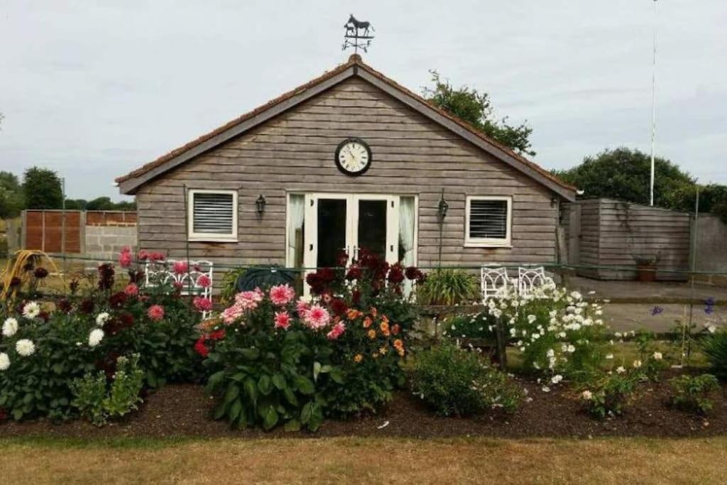 Photo of Others in Sandwich