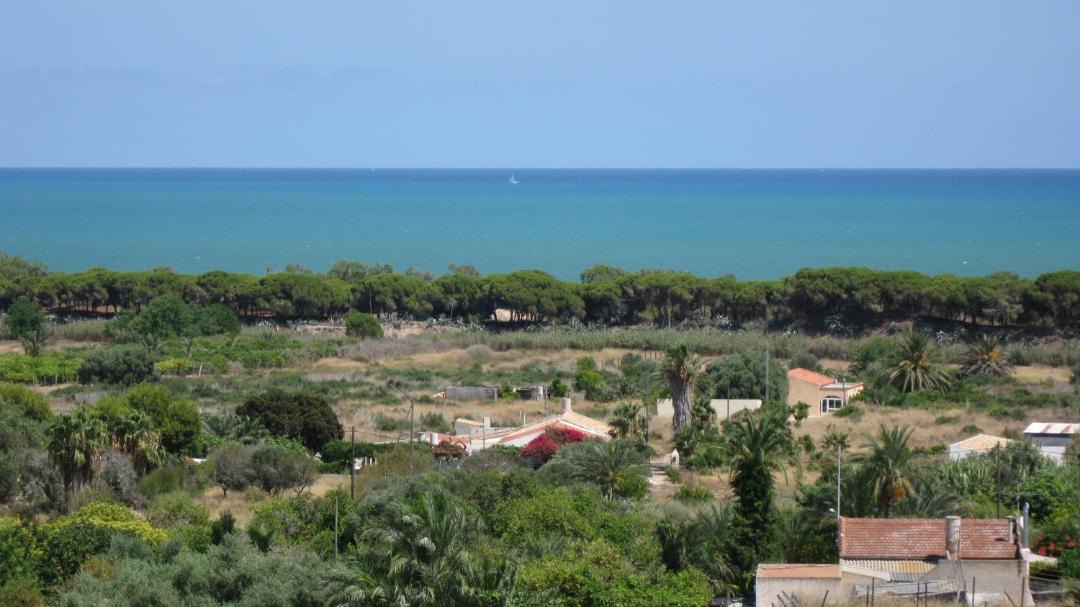Photo of Others in La Marina
