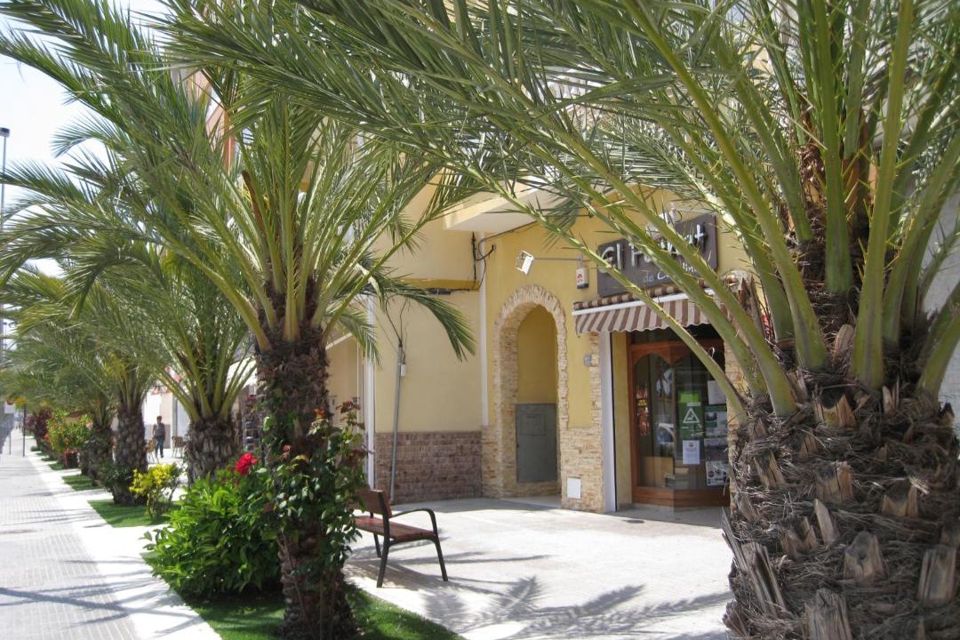 Photo of Buildings in La Marina